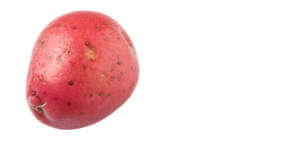 Red Potato — Stock Photo, Image