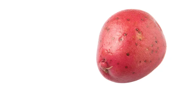 Röd potatis — Stockfoto