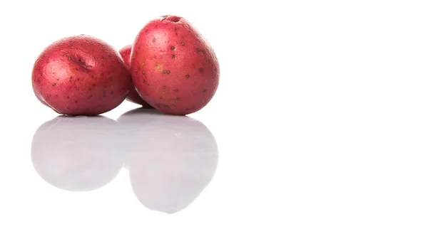 Red Potato — Stock Photo, Image