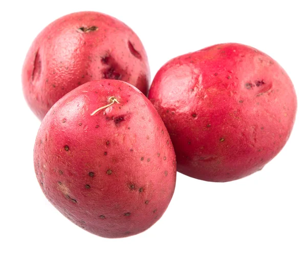 Червоний картопляний — стокове фото