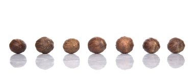 Beyaz arka plan üzerinde küçük Hindistan cevizi