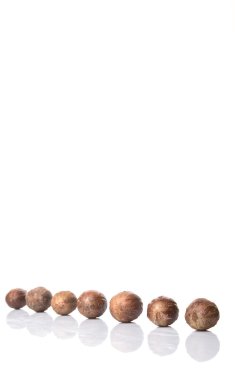 Beyaz arka plan üzerinde küçük Hindistan cevizi