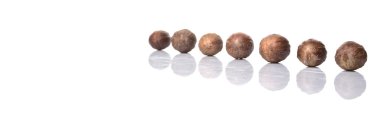 Beyaz arka plan üzerinde küçük Hindistan cevizi