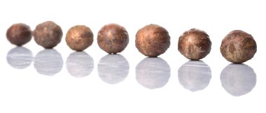 Beyaz üzerine Hindistan cevizi