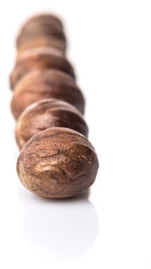 Beyaz arka plan üzerinde küçük Hindistan cevizi