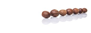 Beyaz arka plan üzerinde küçük Hindistan cevizi