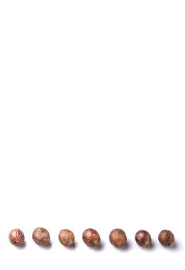 Beyaz arka plan üzerinde küçük Hindistan cevizi