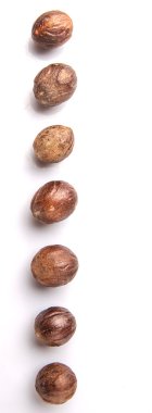 Beyaz arka plan üzerinde küçük Hindistan cevizi