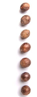 Beyaz üzerine Hindistan cevizi