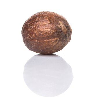 Beyaz arka plan üzerinde küçük Hindistan cevizi