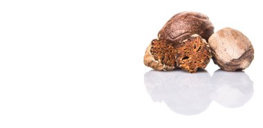 Beyaz üzerine Hindistan cevizi