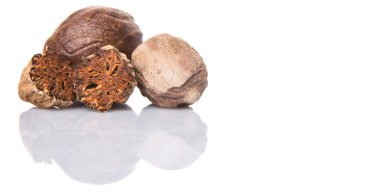 Beyaz arka plan üzerinde küçük Hindistan cevizi