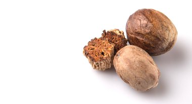 Beyaz arka plan üzerinde küçük Hindistan cevizi