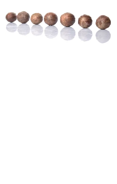 Мускатний Горіх Білому Тлі — стокове фото