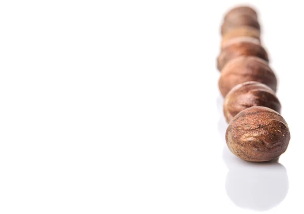 Nutmeg Over White — Stock Photo, Image