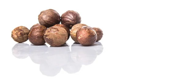 Nutmeg Atas Latar Belakang Putih — Stok Foto