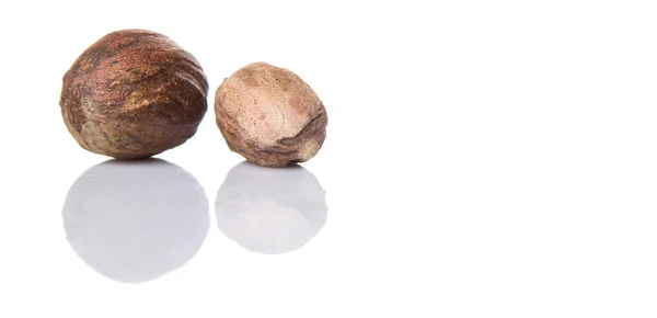 Nutmeg White Background — Stock Photo, Image