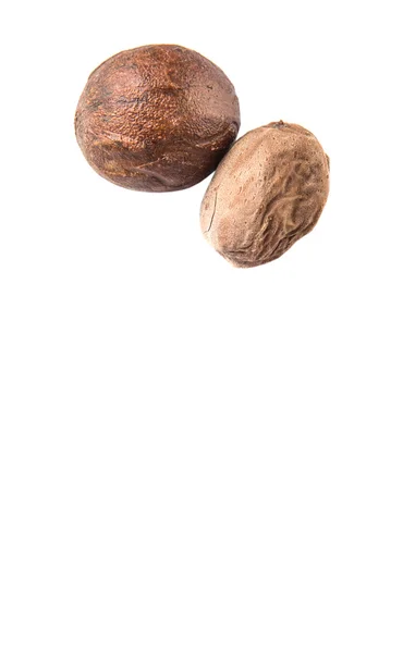 Nutmeg White Background — Stock Photo, Image