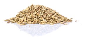 Kimyon tohum beyaz arka plan üzerinde