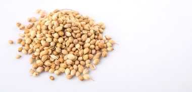 Beyaz arka plan üzerinde kişniş tohumu