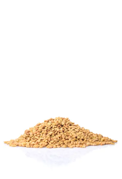 Fenugreek Seeds — Stock Photo, Image