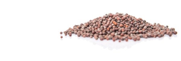 Black mustard seed over white background