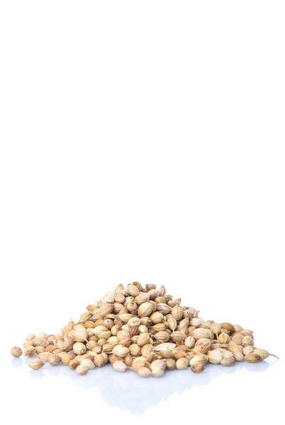 Semințe Coriandru Fundal Alb — Fotografie, imagine de stoc