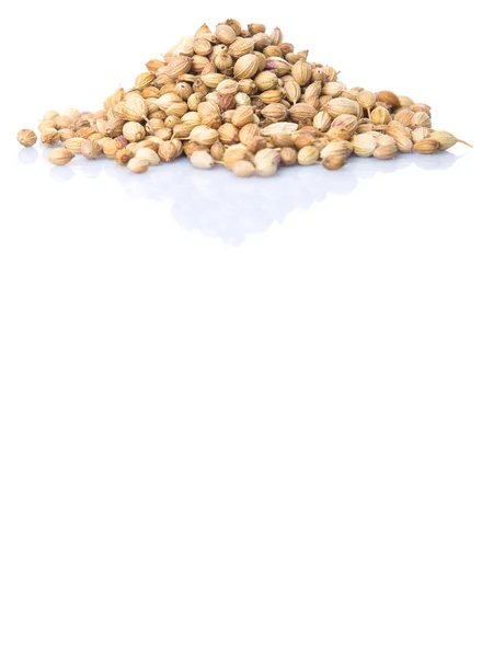 Coriander Seed White Background — Stock Photo, Image