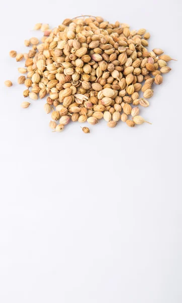 Coriande Seeds — Stock Photo, Image