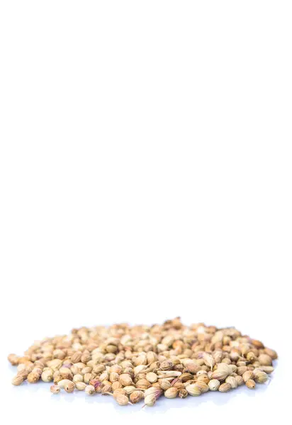 Coriander Seed White Background — Stock Photo, Image