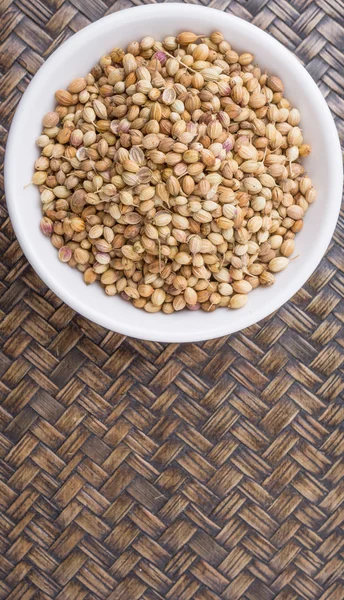 Coriander Seeds — Stock Photo, Image