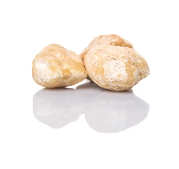 Candlenut Nut — Stock Photo, Image