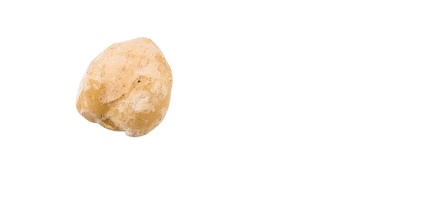 Maple seed Stock Photos, Royalty Free Maple seed Images | Depositphotos