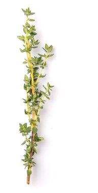 Kekik otlar yaprakları beyaz arka plan üzerinde