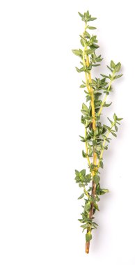 Kekik otlar yaprakları beyaz arka plan üzerinde