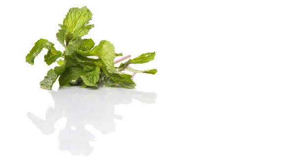 Apple Mint Leaves — Stock Photo, Image