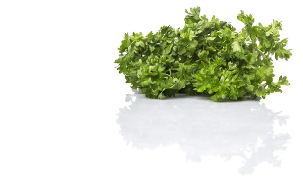 Parsley Herbs — Stock Photo, Image