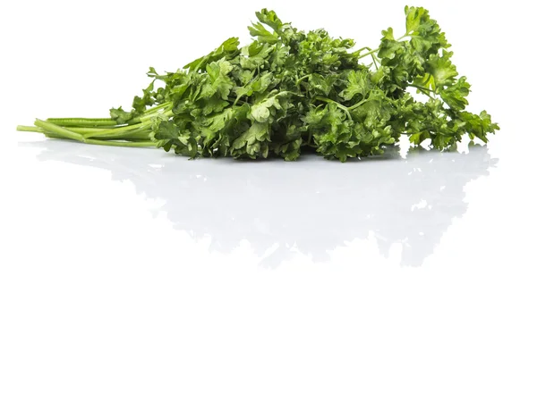 Parsley Herbs Leaves White Background — Stock Photo, Image