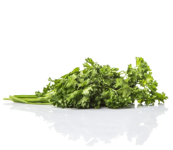 Parsley Herbs Leaves White Background — Stock Photo, Image