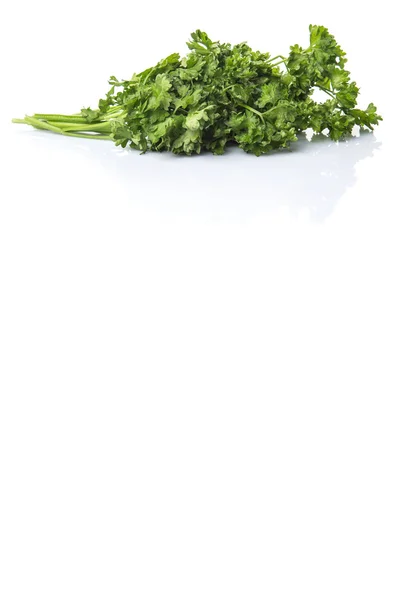 Parsley Herb Leaves White Background — Stock Photo, Image