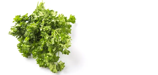 Parsley Herb Leaves White Background — Stock Photo, Image