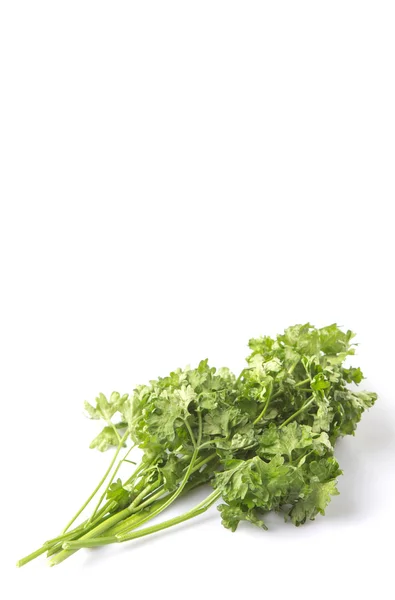 Parsley Herb Leaves White Background — Stock Photo, Image