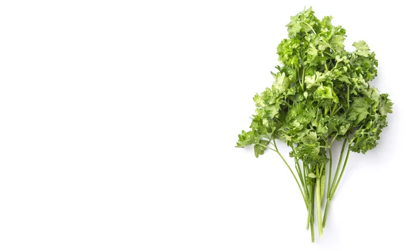 Parsley Herbs — Stock Photo, Image