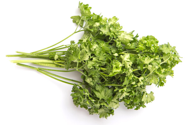 Parsley Herbs