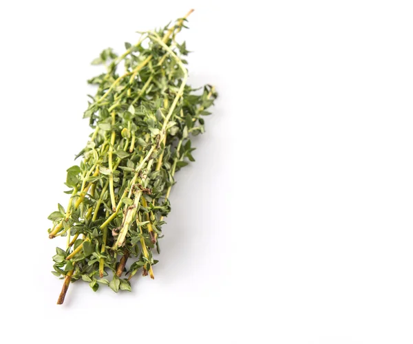 Thyme Herbs Leaves — Stock Photo, Image