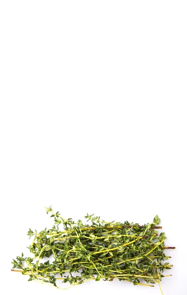 Kakukkfű gyógynövények levelek — Stock Fotó