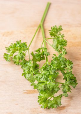 maydanoz bitki yaprakları