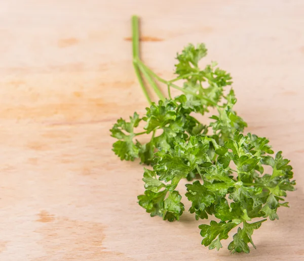 Parsley Herb Leaves — Stock Photo, Image