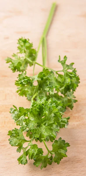 Parsley Herb Leaves — Stock Photo, Image