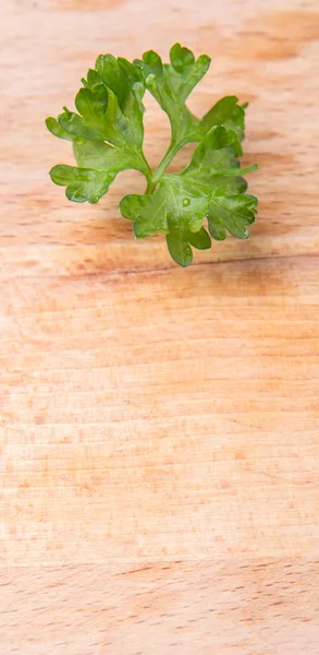 Parsley Herbs Leaves Wooden Surface — Stock Photo, Image